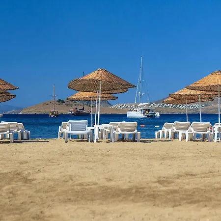 Hotel Kassandra