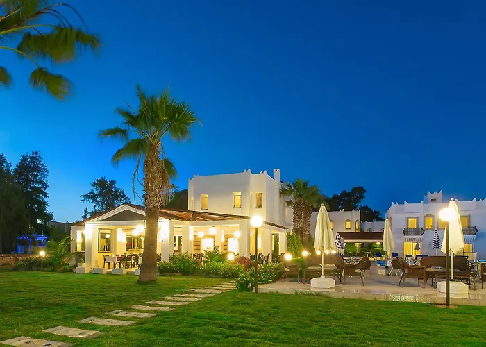 Kassandra 2* ביטז