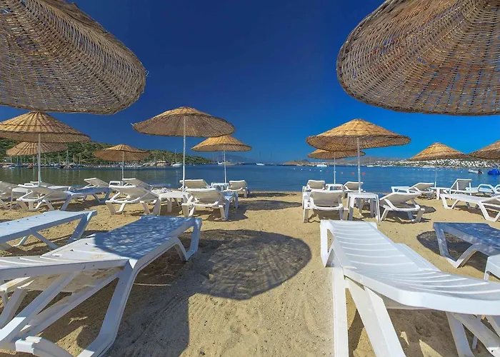 Hotel Kassandra 2*